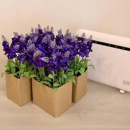 Sara Luxury 2 Sorrento